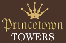 Kumar Princetown Towers Pune South