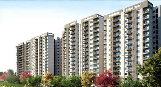 L&T Olivia Elevation