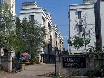 Lunkad Daffodils Entrance View