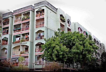 Maxcon Solanki Gulmohar Image