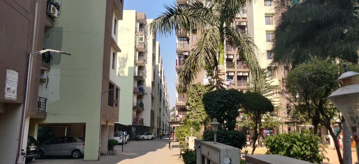 Maya Garden City Elevation