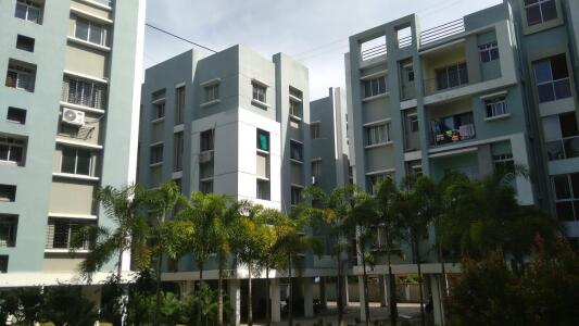 Mayfair Platinum Elevation