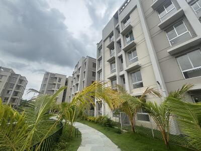 Merlin Oikyo Elevation