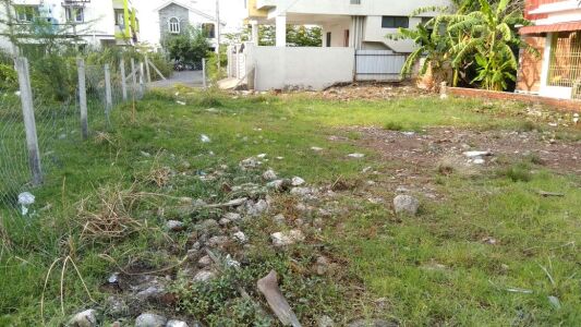 Mgp Srinivasa Nagar Plots Site View