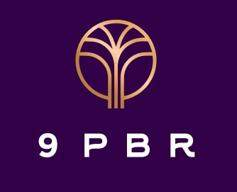 9 PBR Navi Mumbai