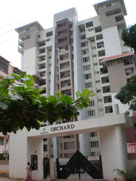 Mohtisham Orchard Entrance