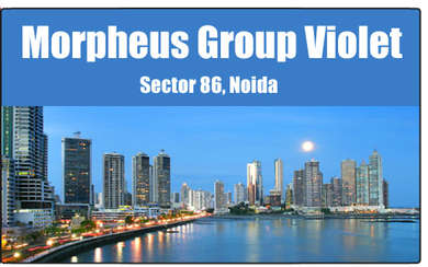 Morpheus Violet Elevation