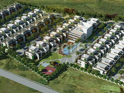 NCC Urban Misty Woods Artistic Aerial View