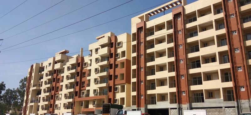 harmony standard nester