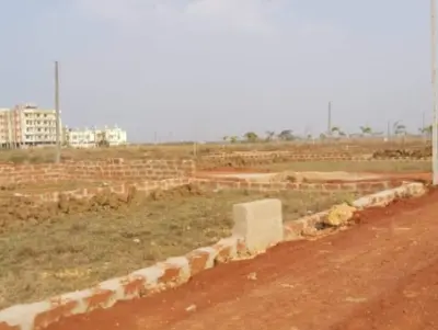 NSD Phase 2 Site View