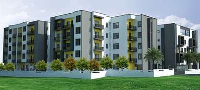 Oasis Nine Image