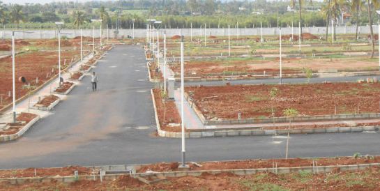 Ozone Urbana Meadows Plot View