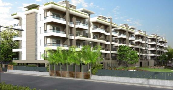 Pawan Vicenza Exotica Image