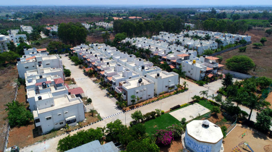 Peninsula Palmville Aerial View