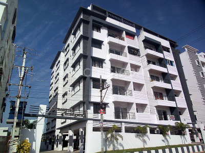 Peroneira Elegance Peroneira Elegance