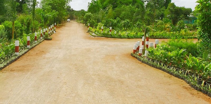 Pragati Green Valley Internal Roads