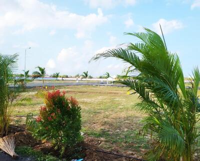 Premier JJS Garden Site View