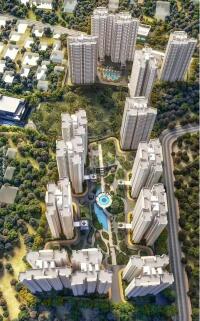 Prestige Southern Star