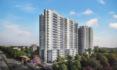 Pride Euphora Elevation