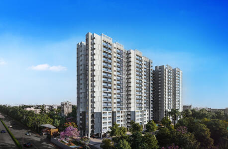 Pride Euphora Elevation