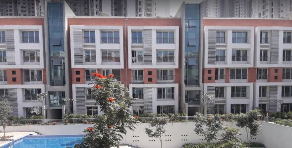 Pride Wilasa Elevation