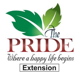 Pride India Builders The Pride Extension Floor Plan - Balapur, Hyderabad