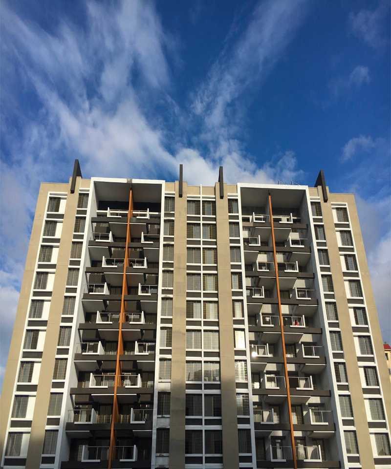 Pride Purple Group Pride Purple Park Landmark Photos And Videos