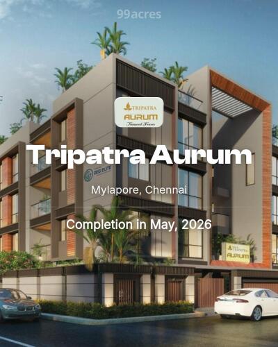 Bhk Apartment Apartments For Sale In Mylapore Tripatra Aurum
