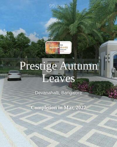 Prestige Autumn Leaves 4
