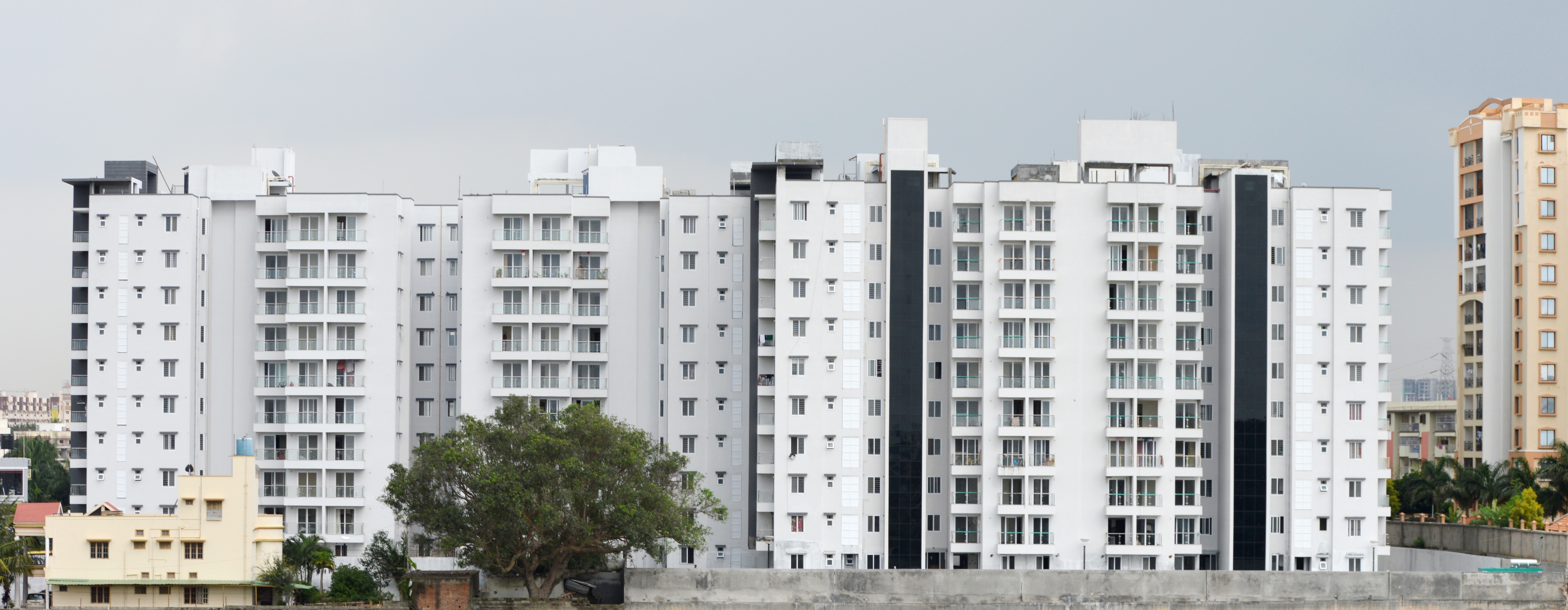 Prospect Princeton Apartments Bangalore Kudlu Gate Price List