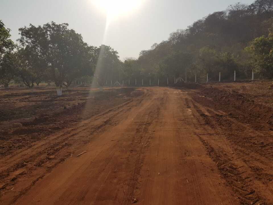 Pudami Developers Akshaya Farm Land Photos Cheemalapadu, Krishna