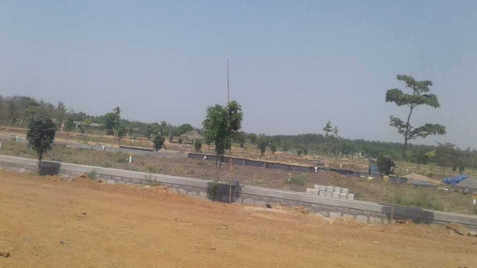 Pudami Developers Pudami Lakshmipuram Township Photos Damuluru