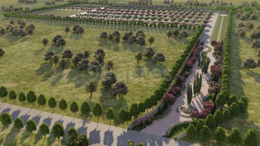 RAK Felicity Site View