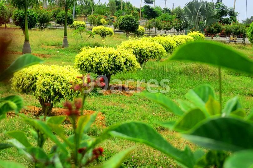 Rashi Gateway Landscape Garden