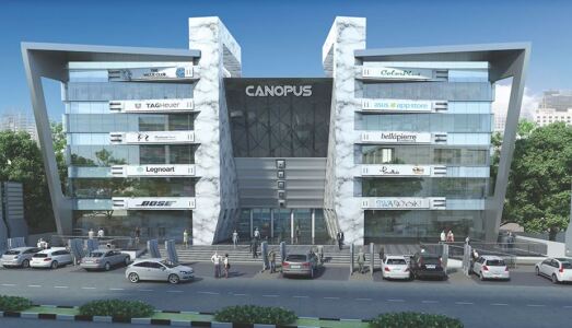 Ravani Canopus Image