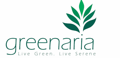 Raviraj Greenaria Pune East