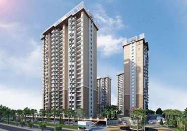 Resizone Elina Image