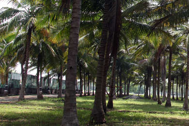 RICS Temple Garden Image