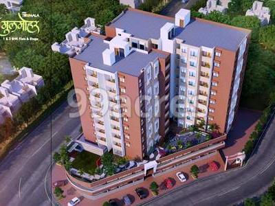 Roongta Shree Tirumala Gulmohar Aerial View