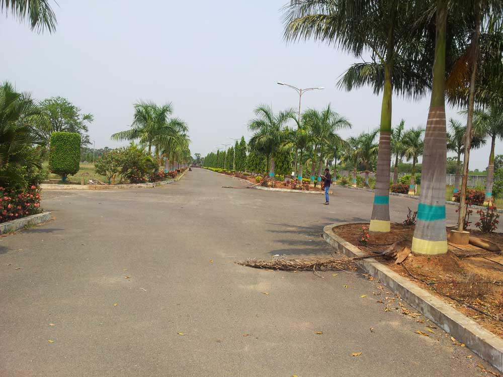 Rowfin Brundavan Gardens Nuzividu, Vijayawada Resale Price List