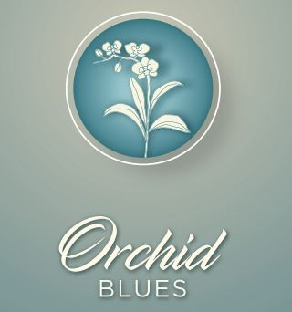 Safal Orchid Blues Ahmedabad West, Shela  Price List & Brochure, Floor  Plan, Location Map & Reviews