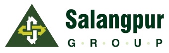 Salangpur Group