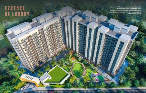SBP Montefiore Aerial View