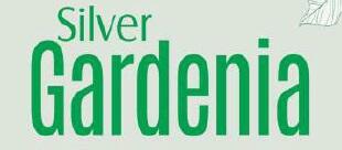 Paper Label Wesley Tank | Silver + Gardenia