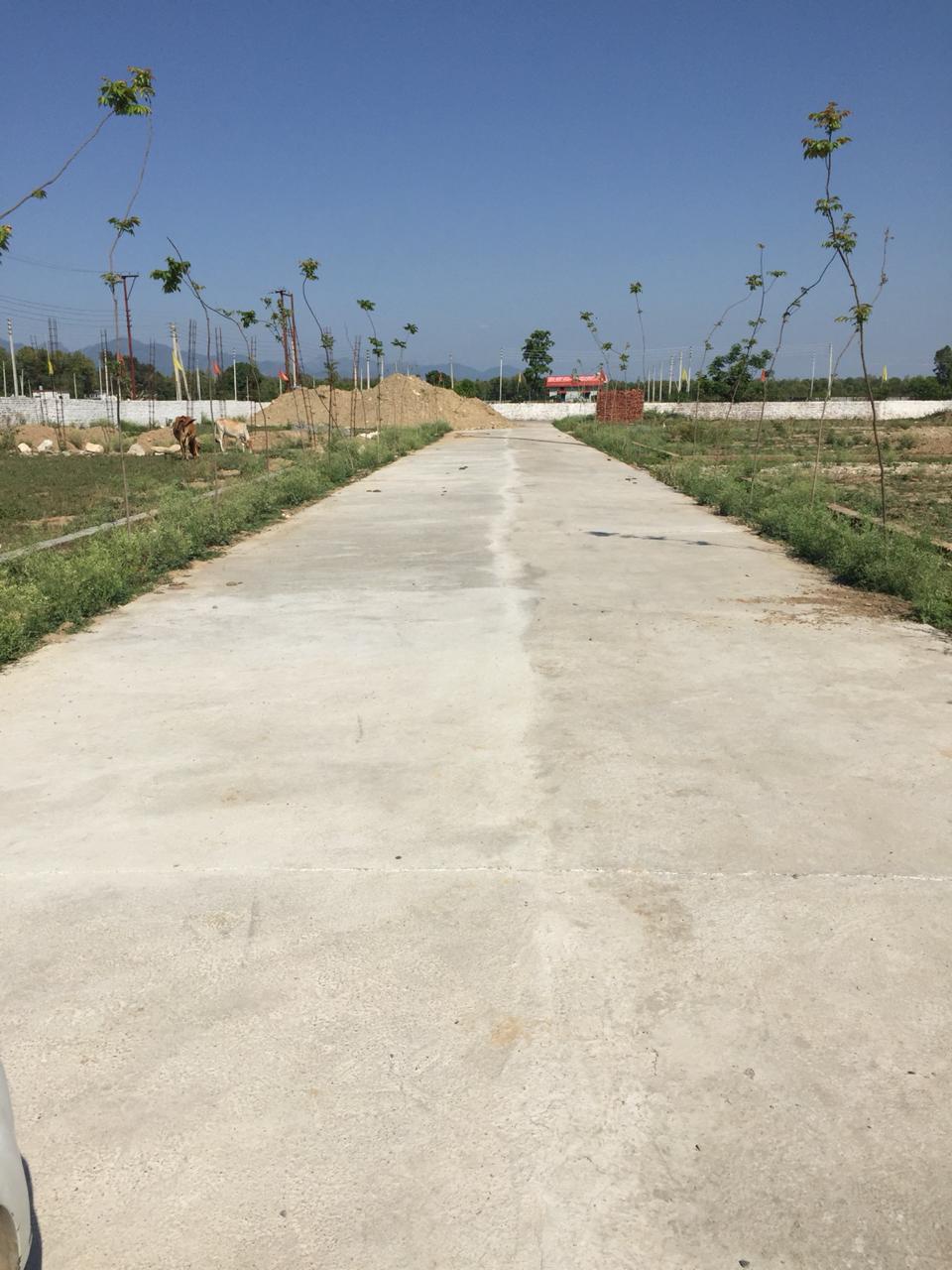 SJ Kandoli Hills Officers Enclave Dehradun, Kandoli Price List