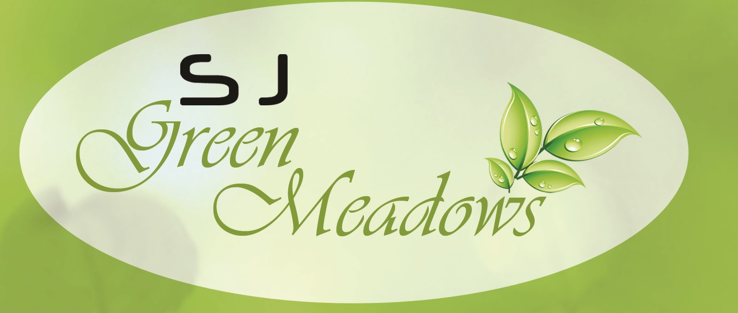 SJ Developers SJ Green Meadows Map Hoskote, Bangalore East Location Map