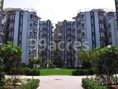 1 RK Flat Flats for rent in Stellar Park Sector 62 Noida - 400 Sq. Ft ...