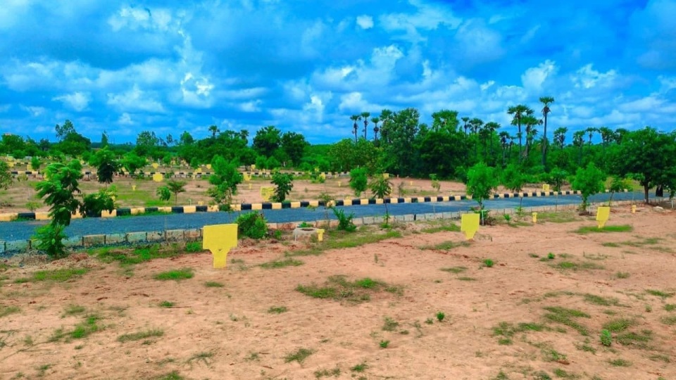 Subham Developers Ongole Subham Royal Green City Photos And Videos