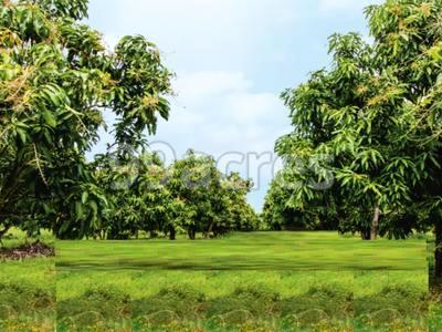 Suvarnabhoomis Suvarna Village Site View