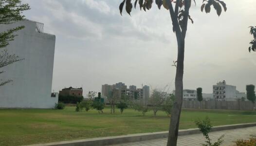 Central Park Flower Valley Cerise Floors Landscape Garden